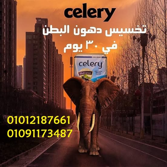كبسولات سيليري للتخسيس وحرق الدهون 01012187661