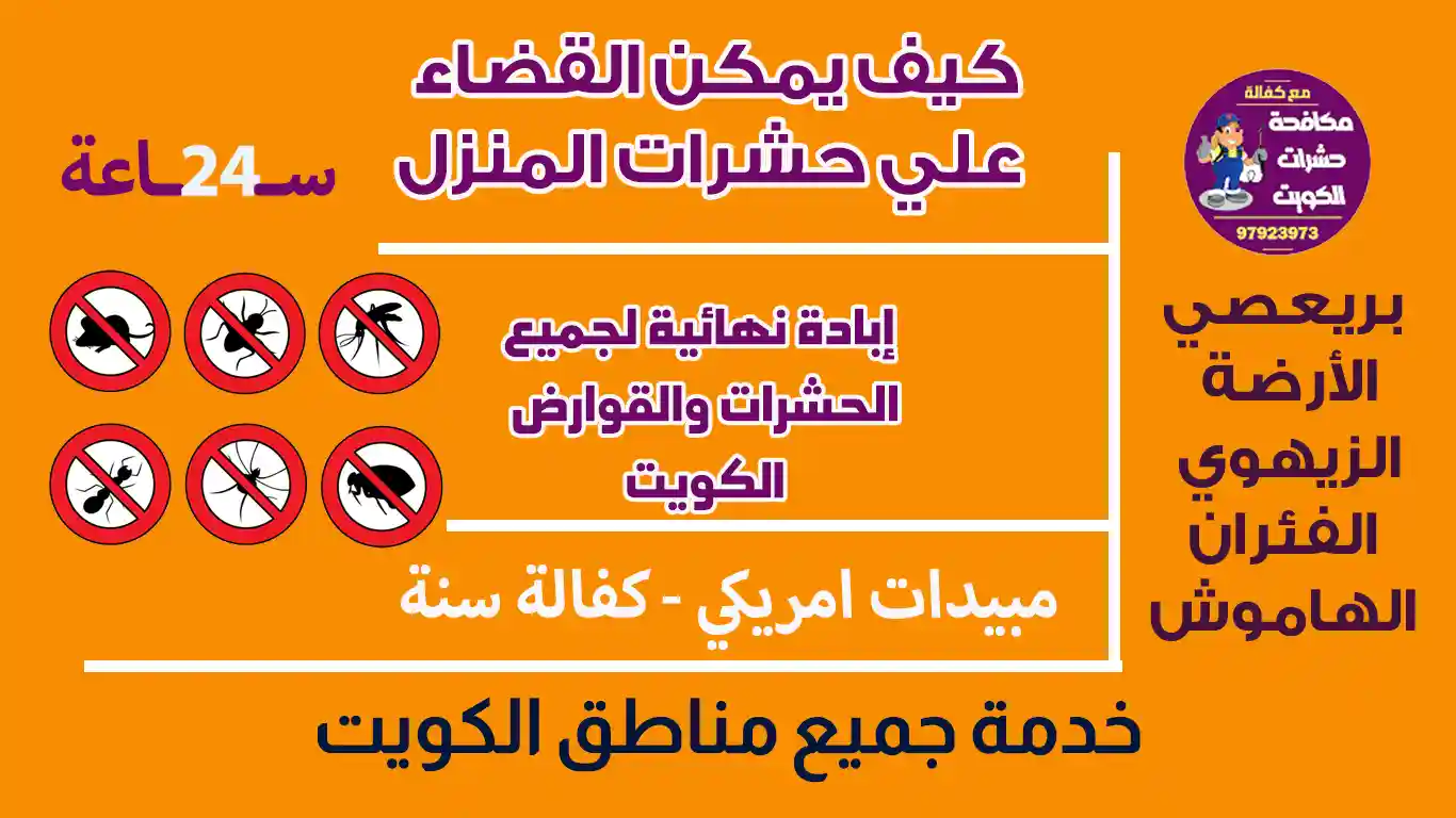 كيف يمكن القضاء علي حشرات المنزل. . ؟ 97923973