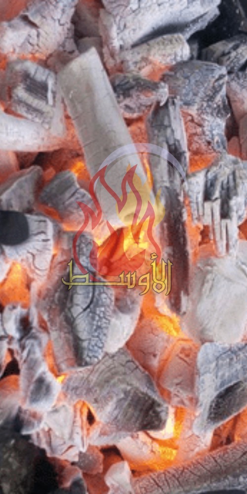 فحم البرتقال النباتي للتصدير , فحم نخب اول