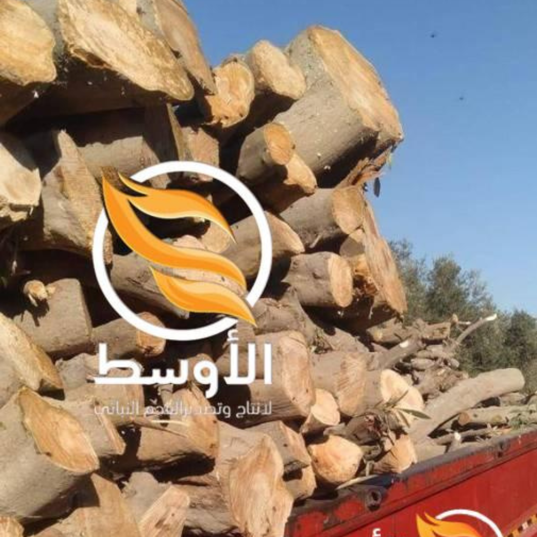 حطب الزيتون مشـاوي للتصدير , خشب الزيتون