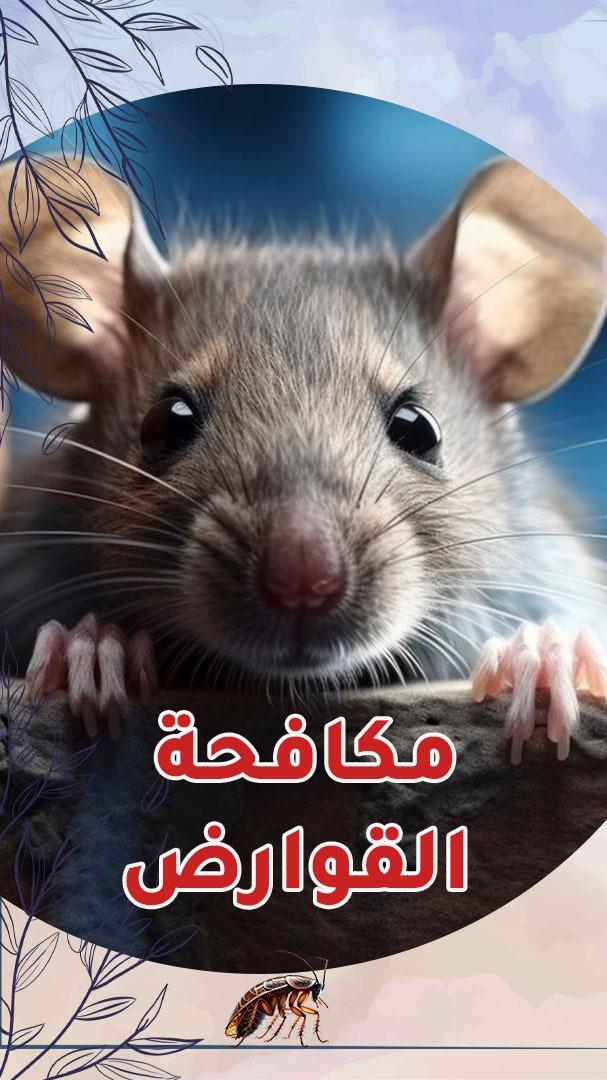 مكافحة القوارض