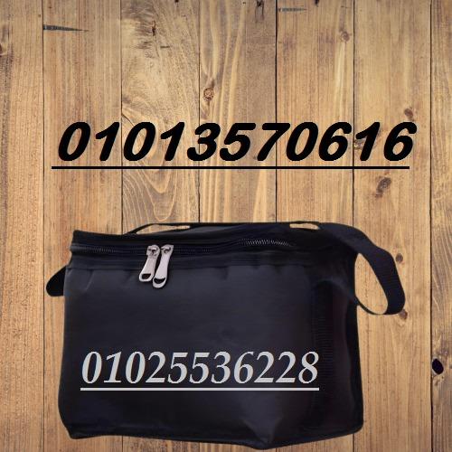 حافظة الأنسولين المتطورة