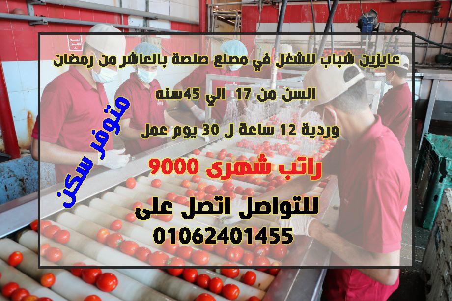 مطلوب عمال تعبئه وتغليف لمصنع صلصه في العاشر من رمضان