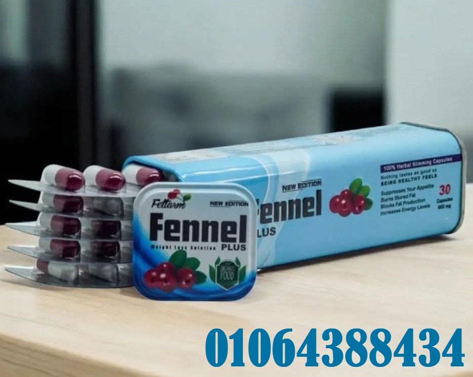 كبسولات فينيل الالماني للتخسيس من فيتارم 30ك