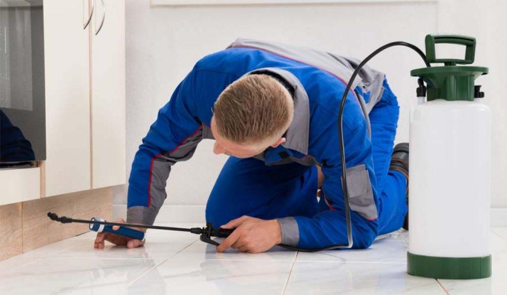 شركه رش مبيدات بعفيف 0548624224