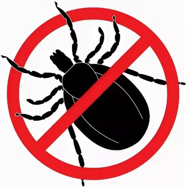 مكافحة حشرات 97923973