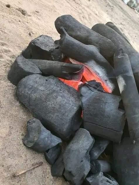 فحم افريقي , فحم ايين النيجيري