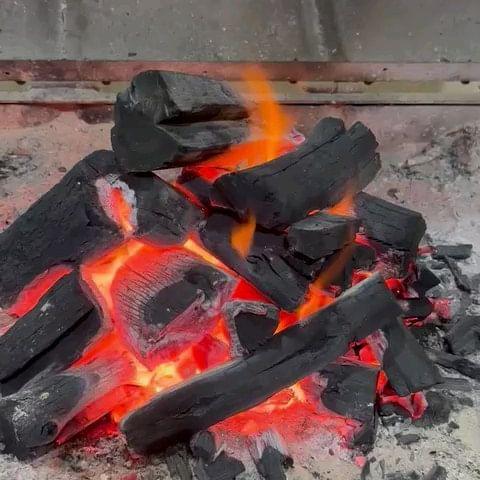 مصنع لإنتاج وتصدير الفحم والحطب للتصدير