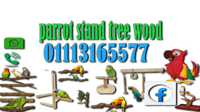 العاب ببغاوات و طيور زينة لببغاوات