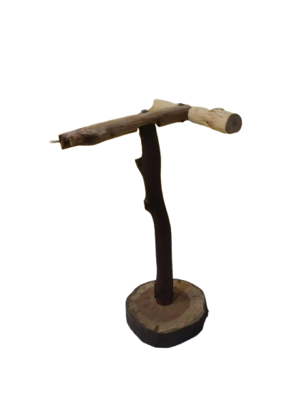 العاب ببغاوات و طيور زينة لببغاوات