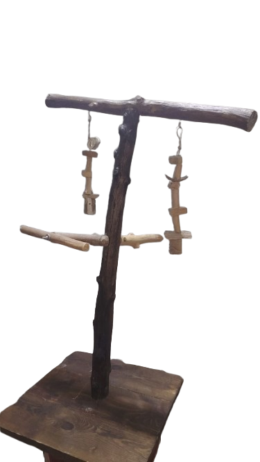 العاب ببغاوات و طيور زينة لببغاوات