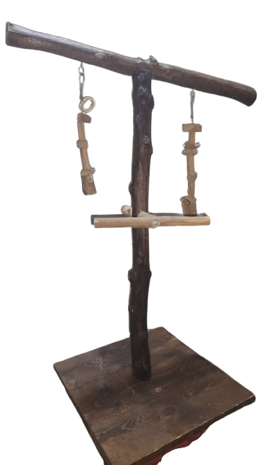 العاب ببغاوات و طيور زينة لببغاوات