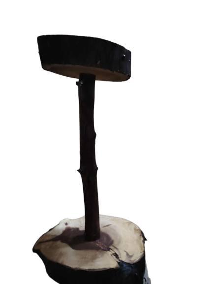 العاب ببغاوات و طيور زينة لببغاوات