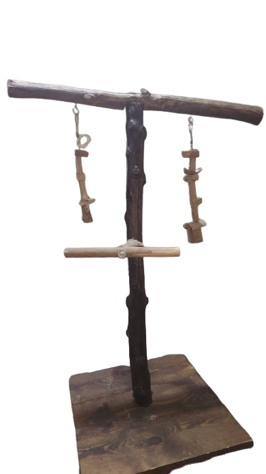 العاب ببغاوات و طيور زينة لببغاوات