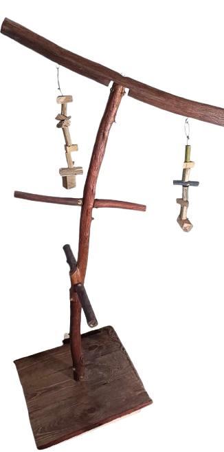 العاب ببغاوات و طيور زينة لببغاوات