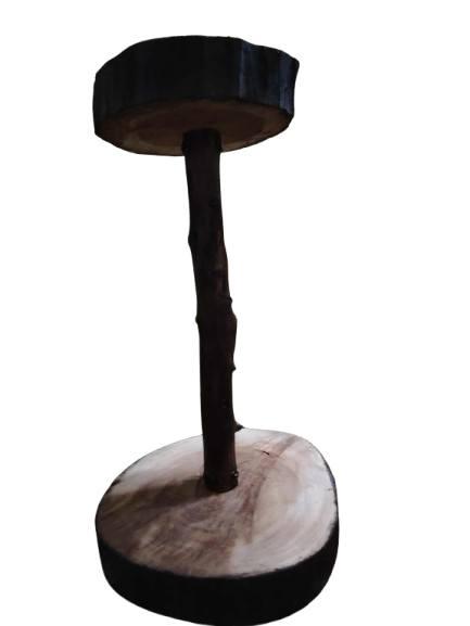 العاب ببغاوات و طيور زينة لببغاوات