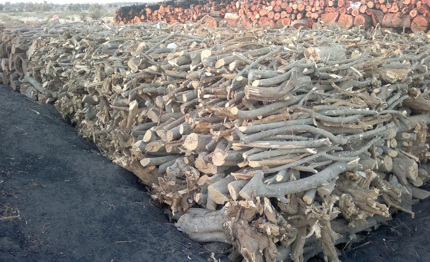 حطب البرتقال للتصدير , حطب شواء نخب اول ( حطب حمضيات )