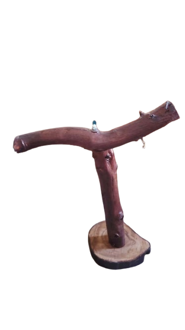 استاند ببغاء للتدريب