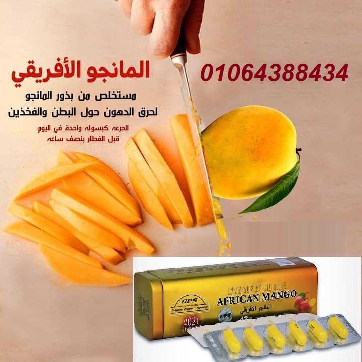 حبوب المانجو الافريقية  الاصدار الجديد للتخسيس وحرق الدهون