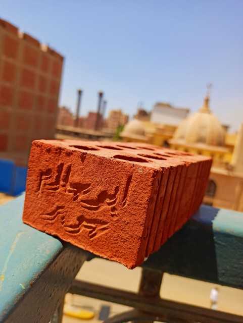 طوب احمر طفلي رقم 1 في مصر