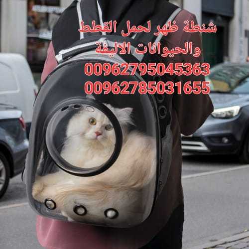 شنطة ظهر لحمل القطط والحيوانات الاليفة